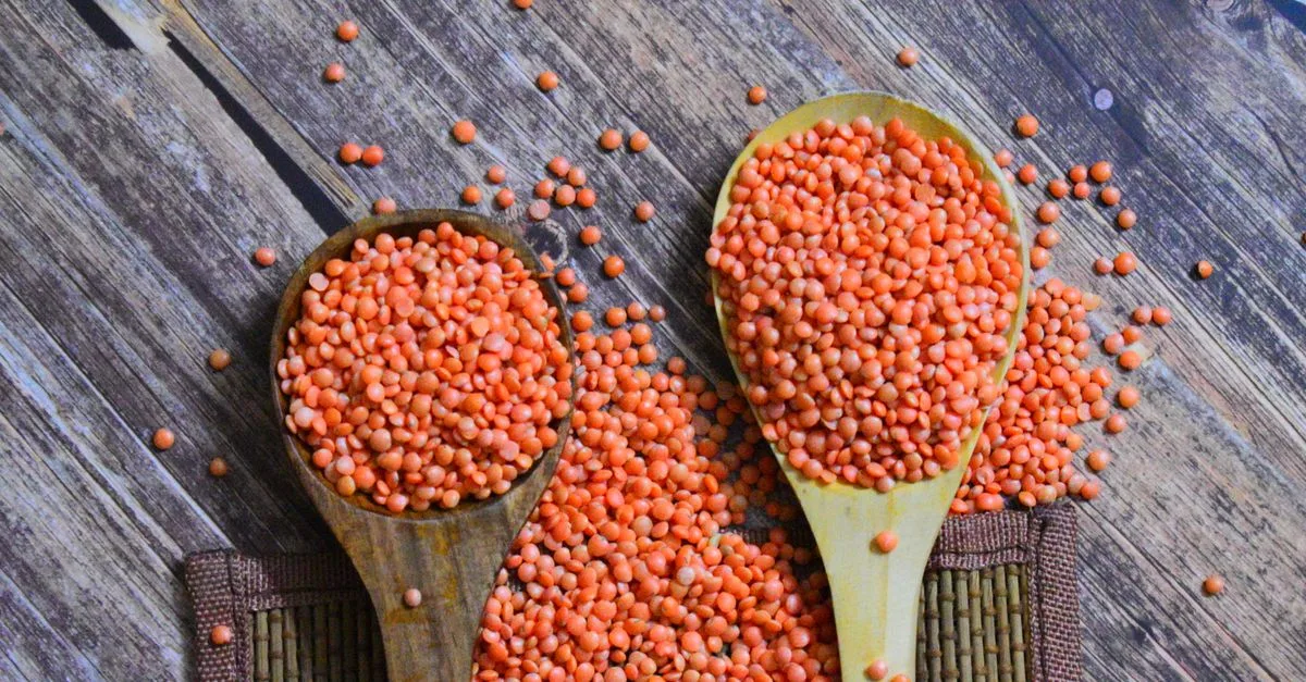 découvrez les bienfaits nutritionnels des lentilles, riches en protéines, fibres, vitamines et minéraux essentiels pour une alimentation saine et équilibrée.