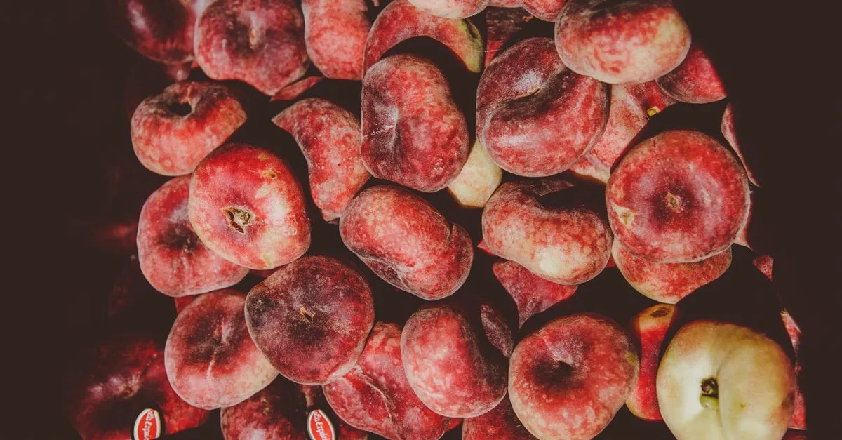 conseils et astuces pour l'entretien d'un pêcher-nectarine : plantation, taille, arrosage et protection pour un arbre sain et productif.