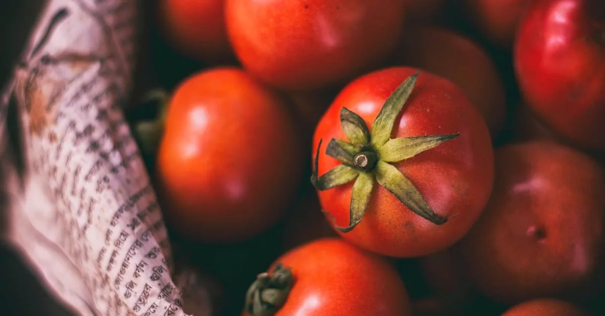 découvrez les bienfaits du jus de tomate pour la santé, riche en antioxydants, vitamines et bénéfique pour le cœur et la digestion.
